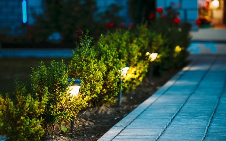 Garden Pathway Low Voltage Lighting Close-up view of small landscape lights installed along a hedge bordering a paved walkway during the evening blue hour.
